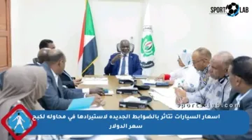 أسعار السيارات تتأثر بالضوابط الجديدة لاستيرادها في محاولة لكبح سعر الدولار